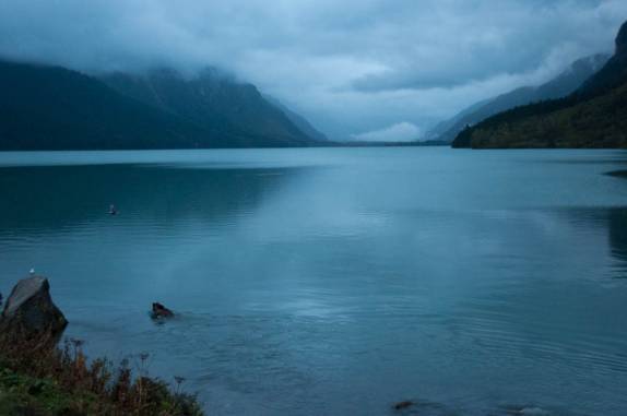 Um urso nada solitário no belo lago de Chilkat, em Haines, no sudeste do Alaska